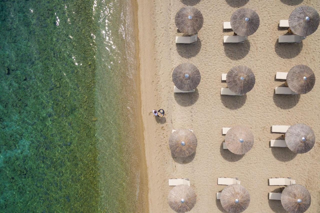 Resort Kassandra Palace Seaside 5*