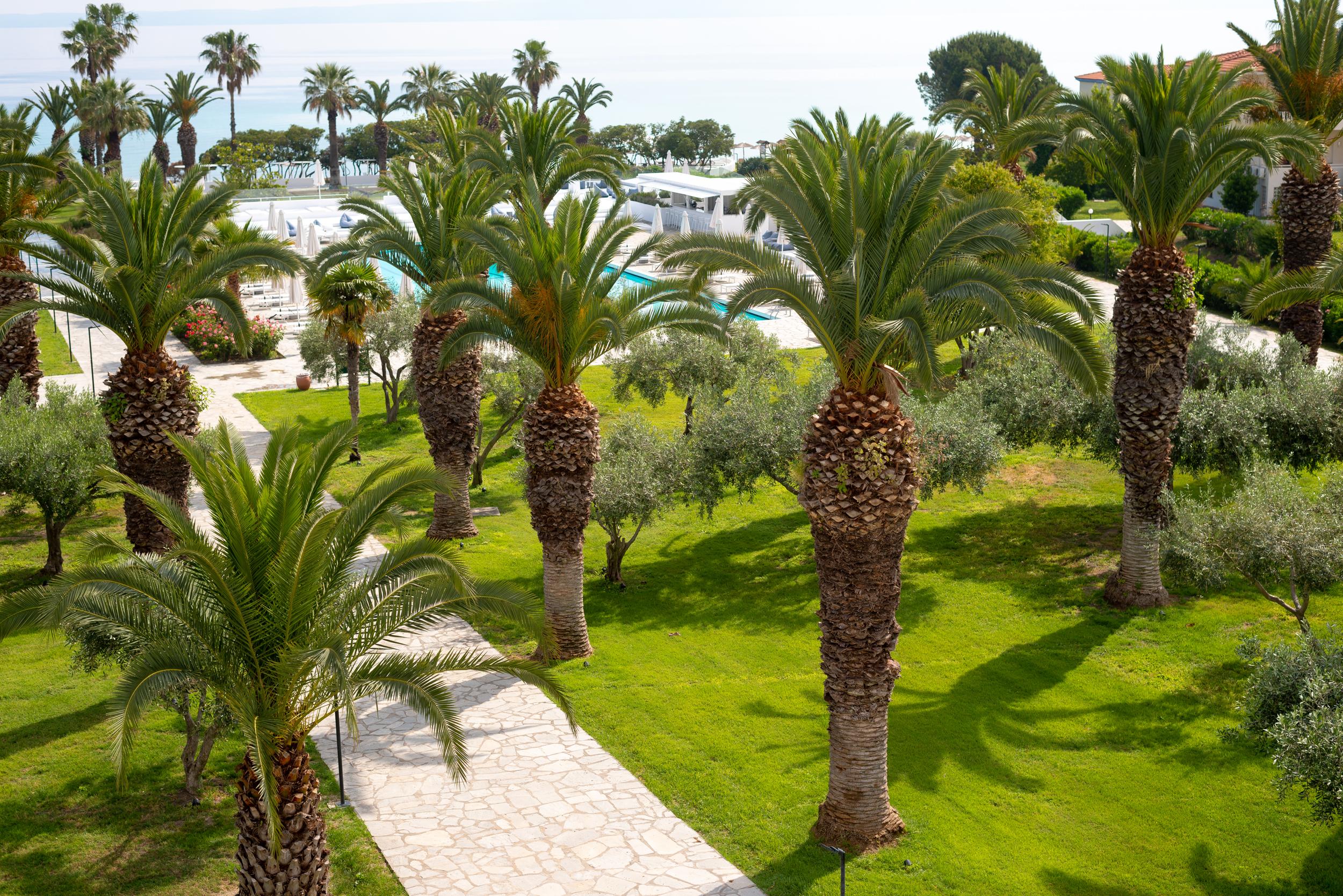 Kassandra Palace Hotel&spa